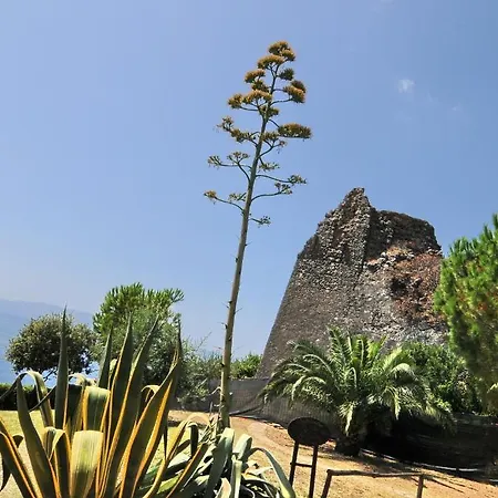 Club San Diego 3* 마라테아